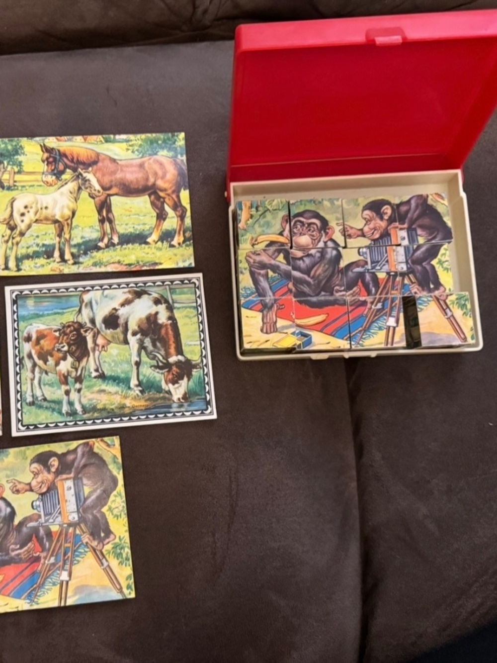 Vintage Animal Wood Block Puzzle Made In Western Germany